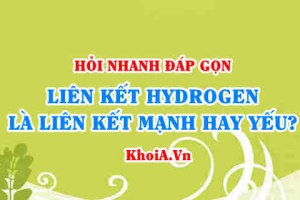 LIên kết hydrogen được hình thành như thế nào? Liên kết hydrogen là liên kết mạnh hay yếu? - Hỏi đáp Hoá 10